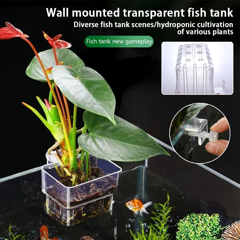 Aquarium Fish Background - Cestas Suspensas para Aquário, Suporte de