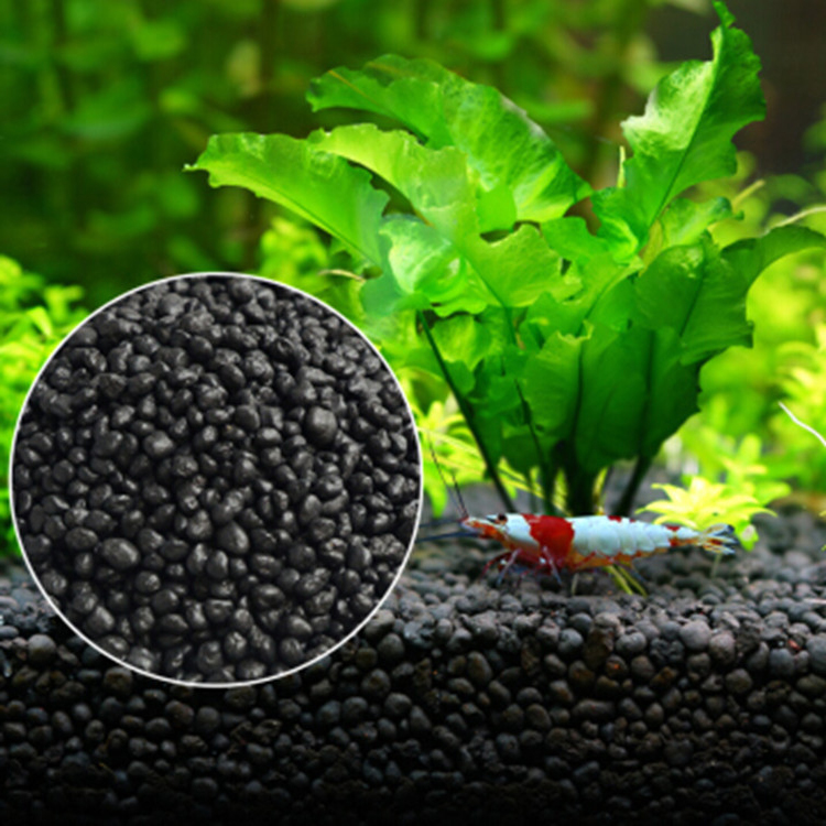 Aquarium Fish Background - Solo para plantas do tanque de