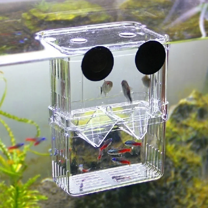 Aquarium Fish Background - Aquário Multifuncional de Alta Transparência para