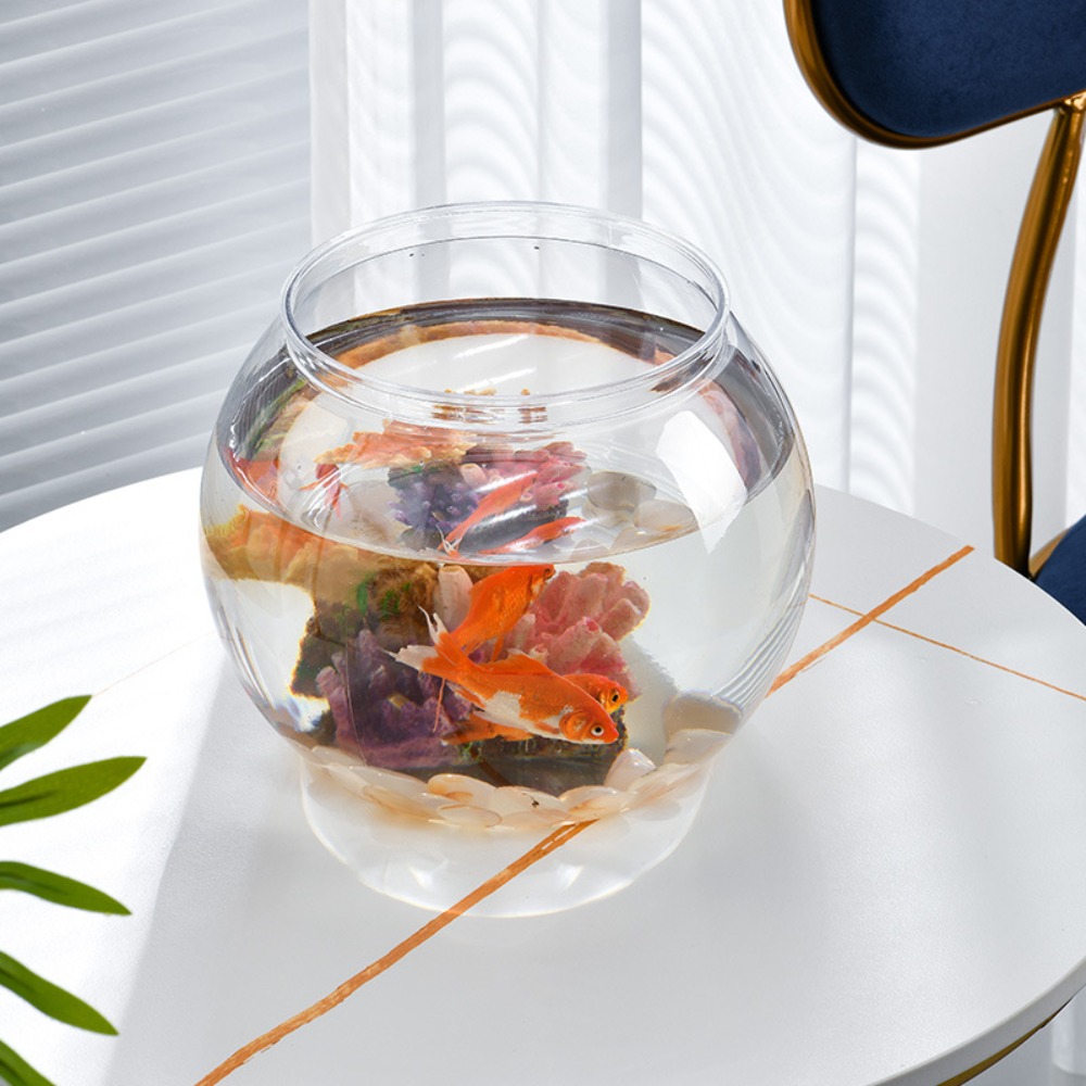 Aquário de mesa transparente e - Live Fish Aquarium avaliação e preço
