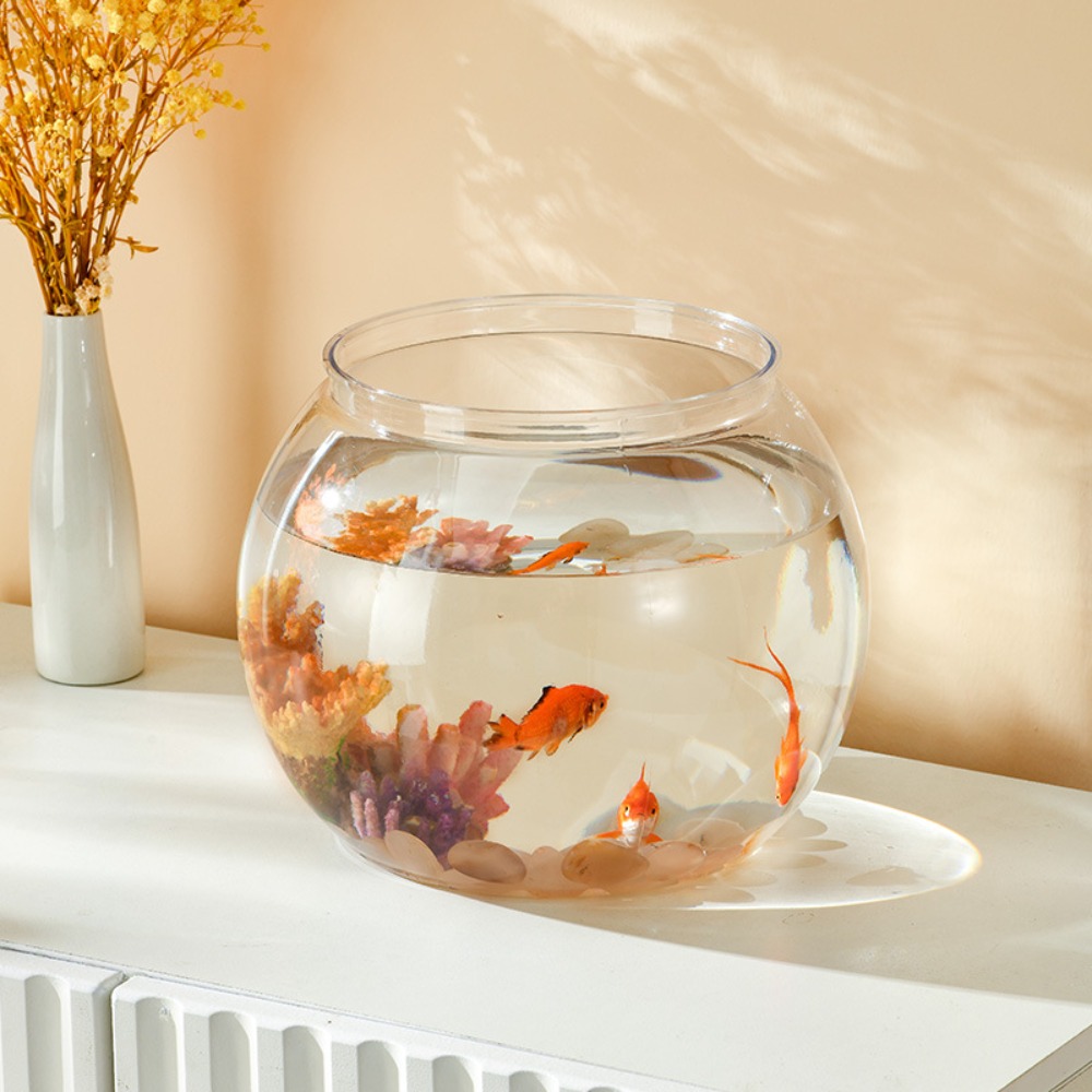 Aquário de mesa transparente e - Live Fish Aquarium avaliação e preço