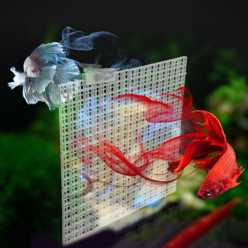 Placa divisória para isolament - Aquarium Fish Net avaliação e preço