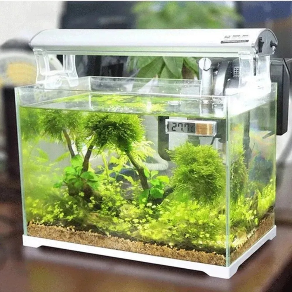 1pc termômetro de aquário elet - Aquarium Thermometer avaliação e preço