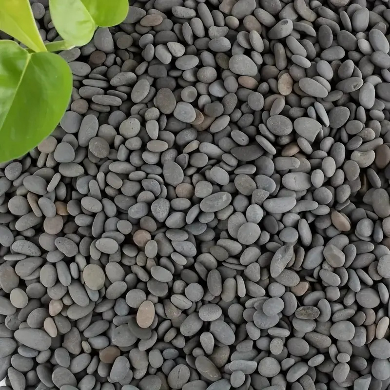 20 peças pedras naturais de ri - Aquarium Fish Saltwater avaliação e preço