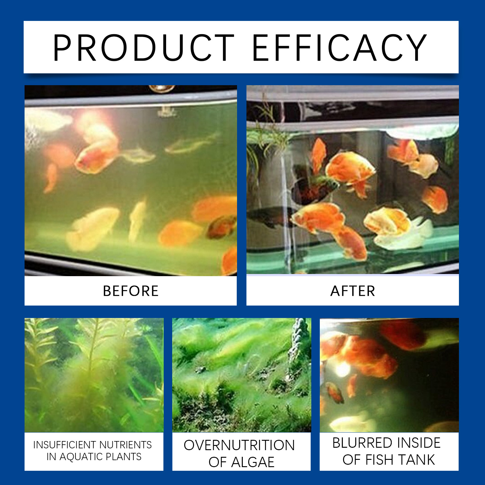 Clarificador de água para aquá - Aquarium Fish Saltwater avaliação e preço