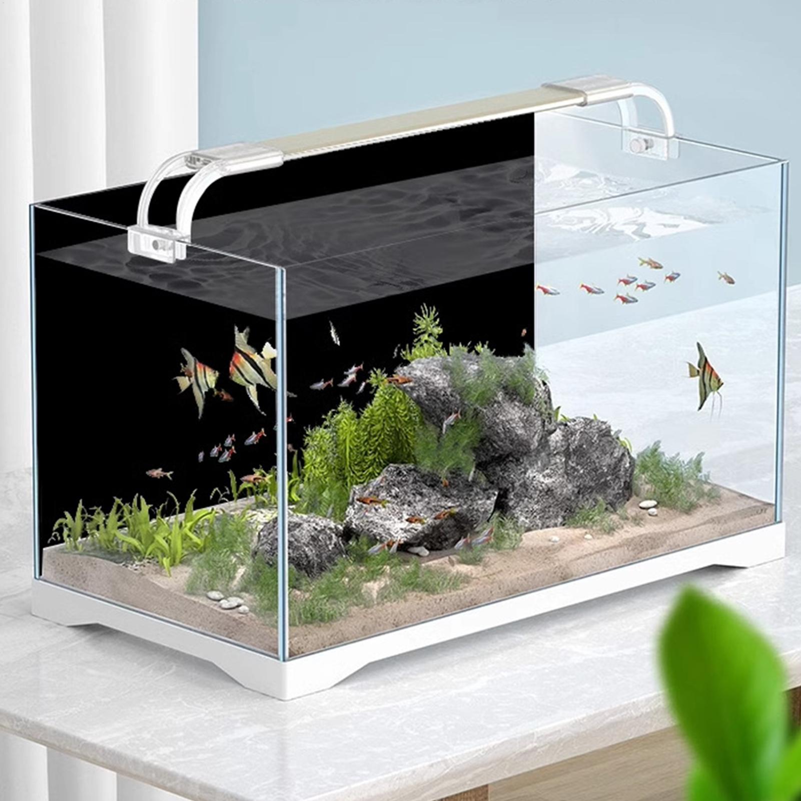 Adesivo de Fundo para Aquário, - Aquarium Fish Background avaliação e preço