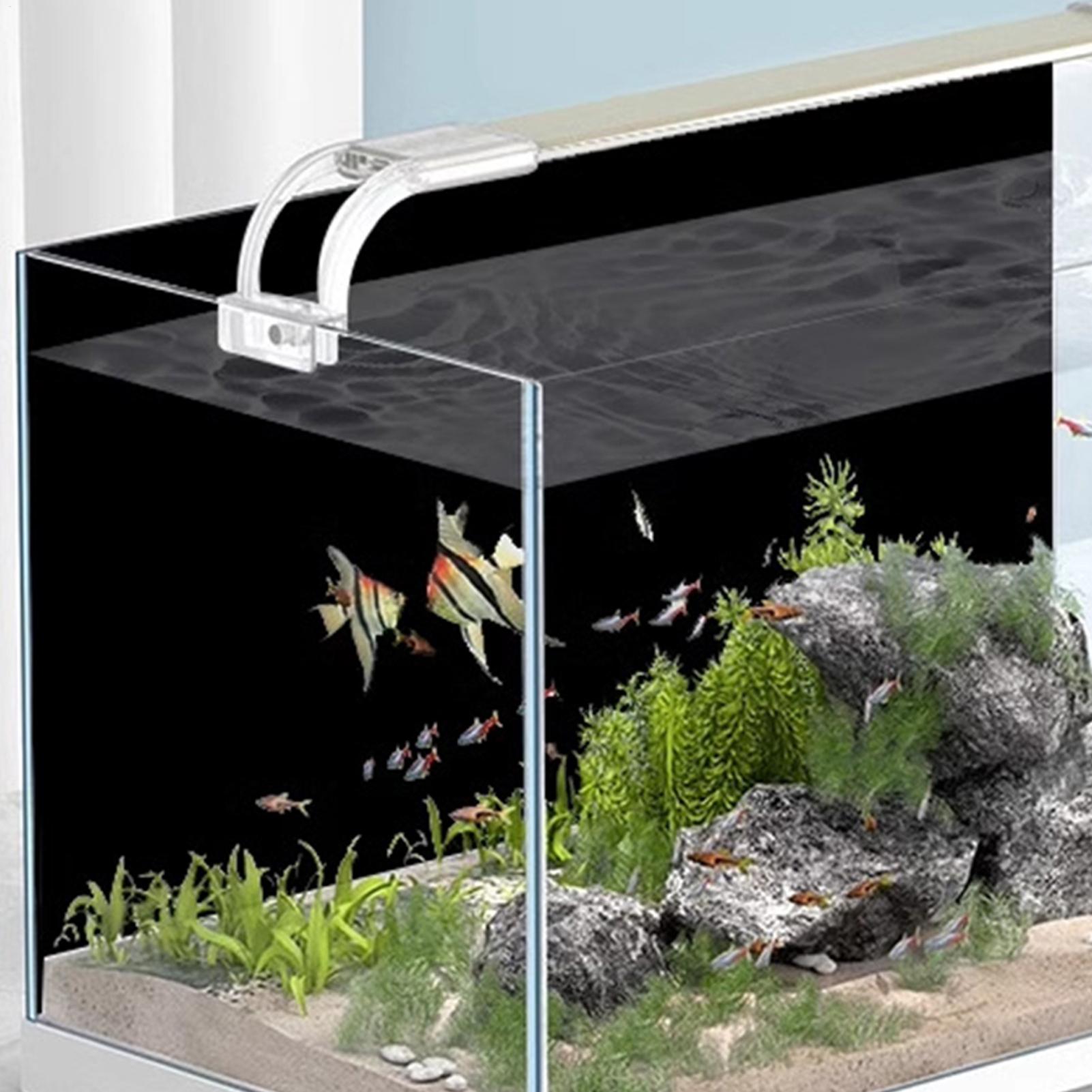 Adesivo de Fundo para Aquário, - Aquarium Fish Background avaliação e preço