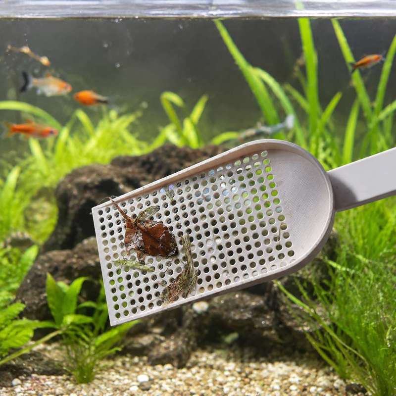 Rede de Limpeza para Aquários  - Aquarium Fish Net avaliação e preço