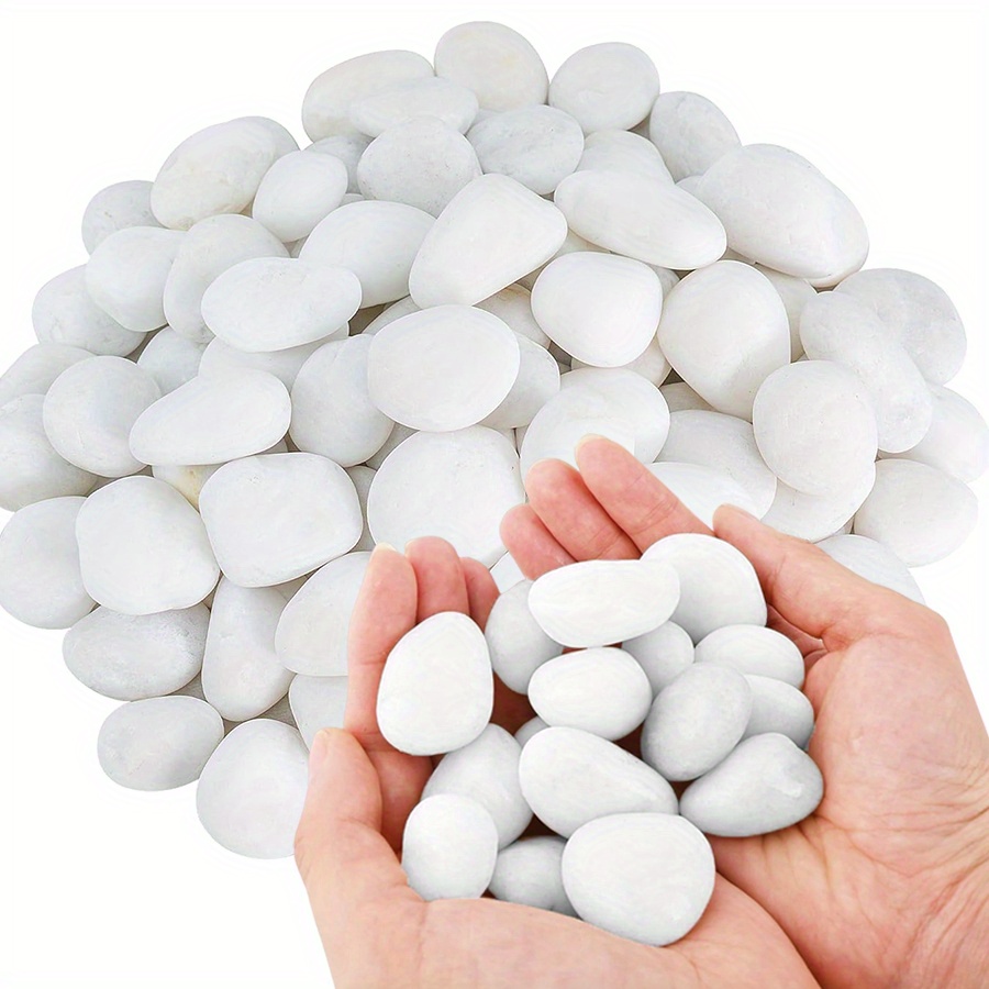 200/400g branco alto polido se - Aquarium Fish Saltwater avaliação e preço