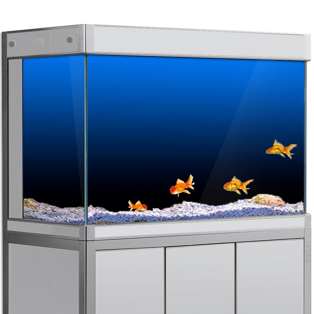 Adesivo de fundo para tanque d - Aquarium Fish Background avaliação e preço