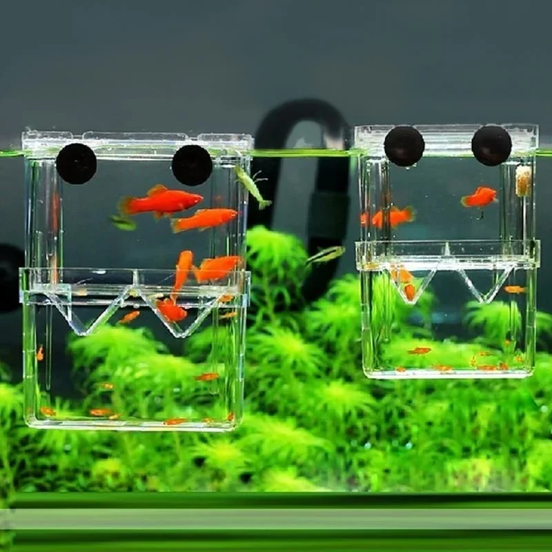Aquário Multifuncional de Alta - Aquarium Fish Background avaliação e preço