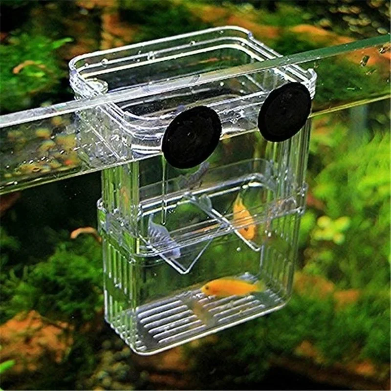 Aquário Multifuncional de Alta - Aquarium Fish Background avaliação e preço