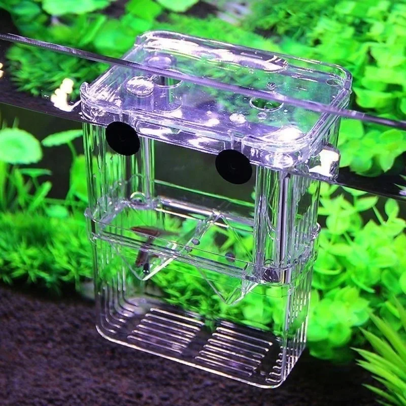 Aquário Multifuncional de Alta - Aquarium Fish Background avaliação e preço