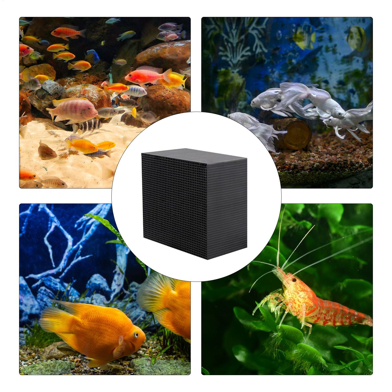 Cubo Purificador de Água para  - Aquarium Fish Background avaliação e preço